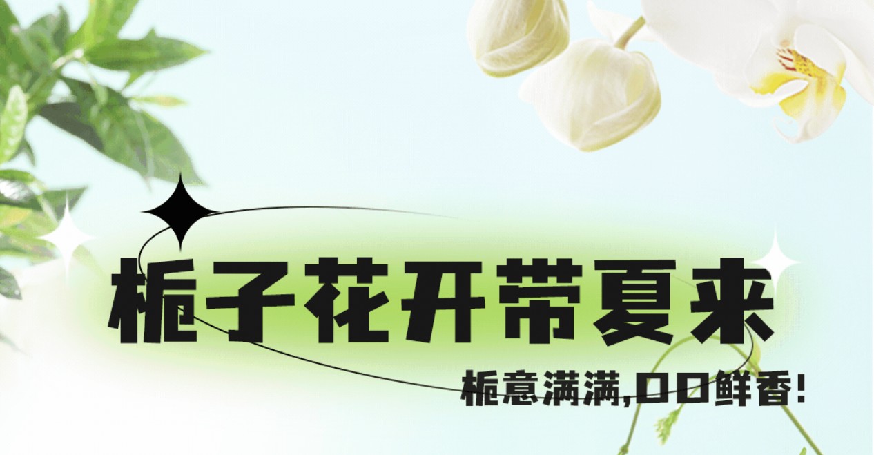栀子花茶7月新上市 ，栀意满满，带你入夏 ！